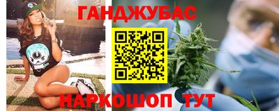 сатива Ставрополь