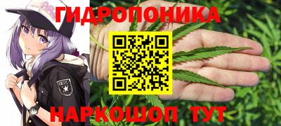 сатива Ставрополь